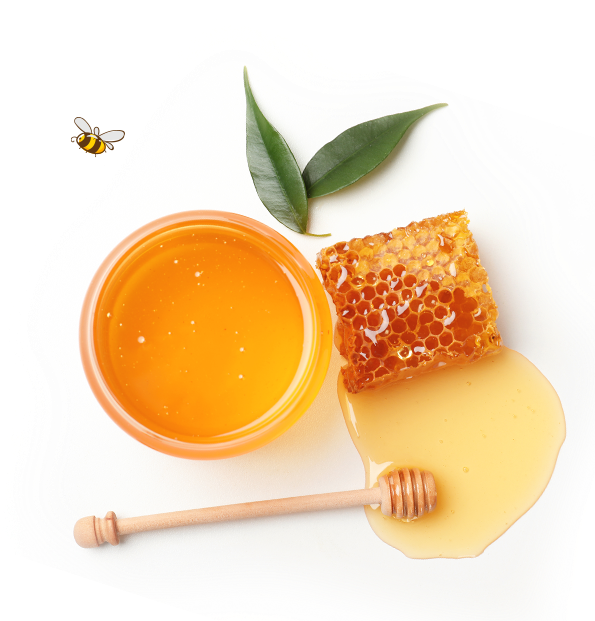 Treasures of Kyrgyzstan newsletter