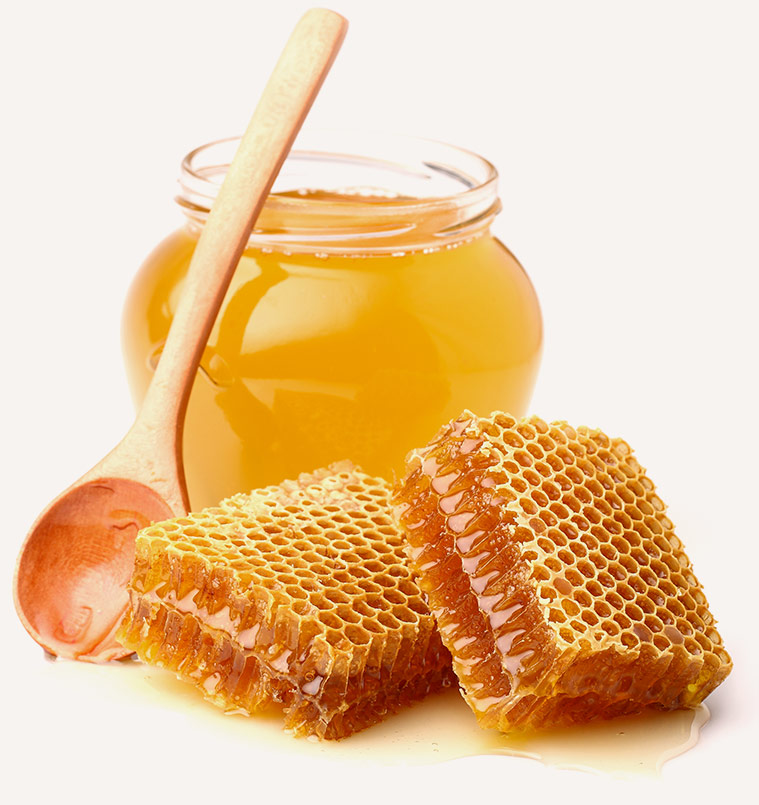 Treasures Kyrgyzstan honey products